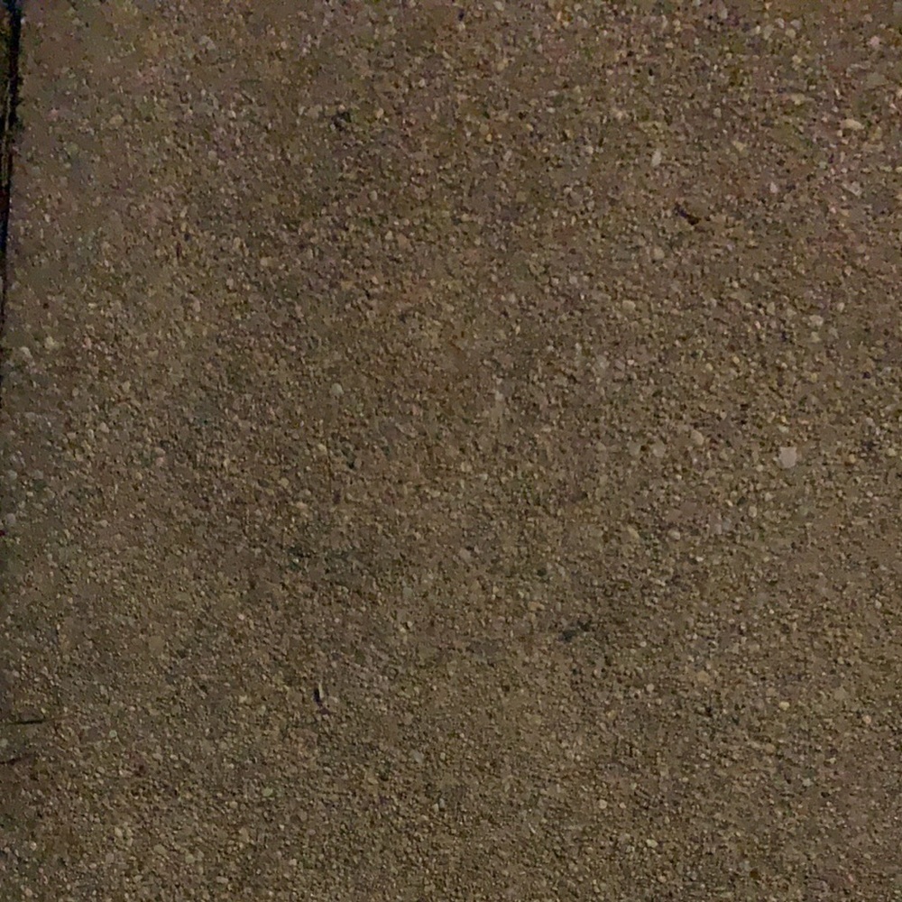 Meet your Posher, Rudolph noel